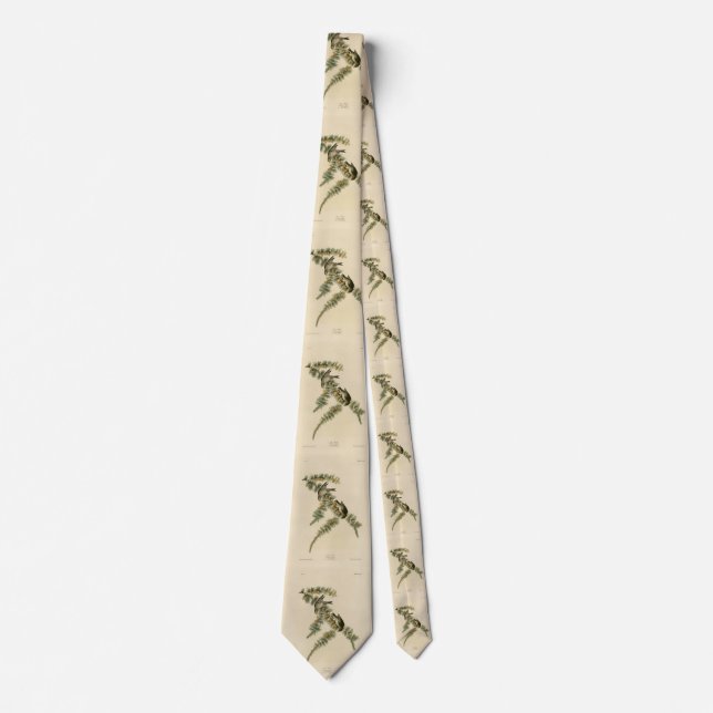Pine Finch (Pine Siskin), Audubon Birds of America Tie (Front)