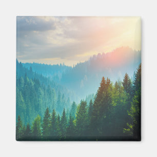 Pine Forest in the Dolomites, Italy Magnet
