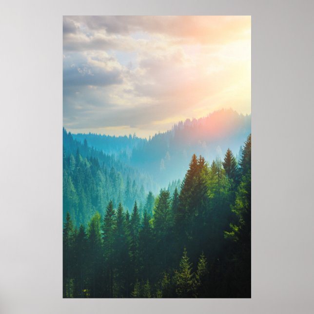 Pine Forest in the Dolomites, Italy Poster (Front)