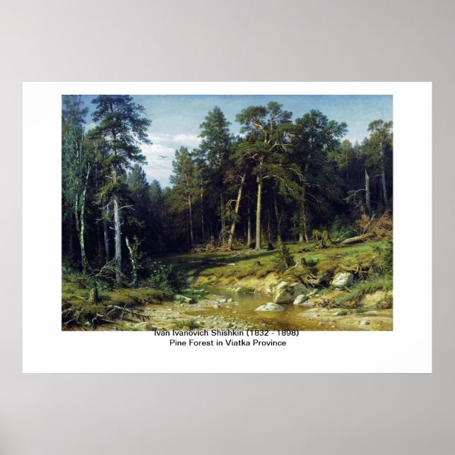 Pine Forest in Viatka Province Poster (Front)
