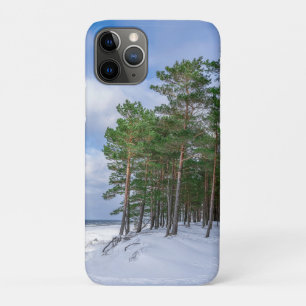 Pine forest near sea coast in Latvia Case-Mate iPhone Case