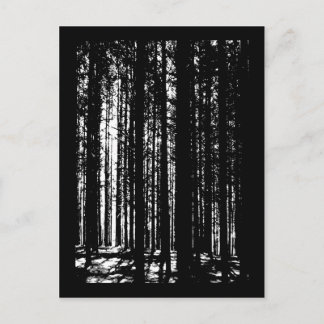 pine forest postcard