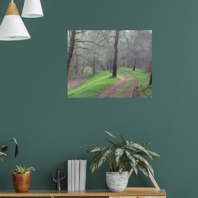 Pine Forest Road Poster (Living Room 1)
