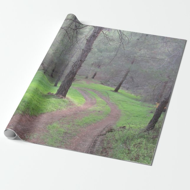 Pine Forest Road Wrapping Paper (Unrolled)