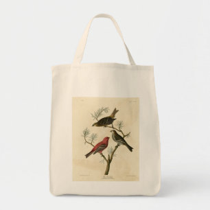 Pine Grosbeak from Audubon's Birds of America Tote Bag