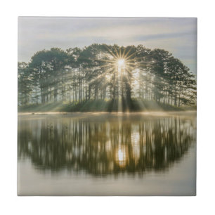 Pine Island Sunray Tile