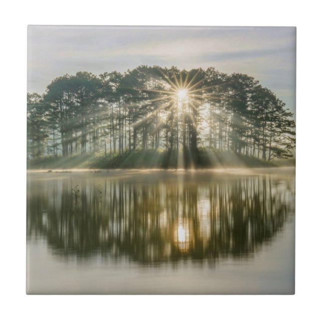 Pine Island Sunray Tile (Front)