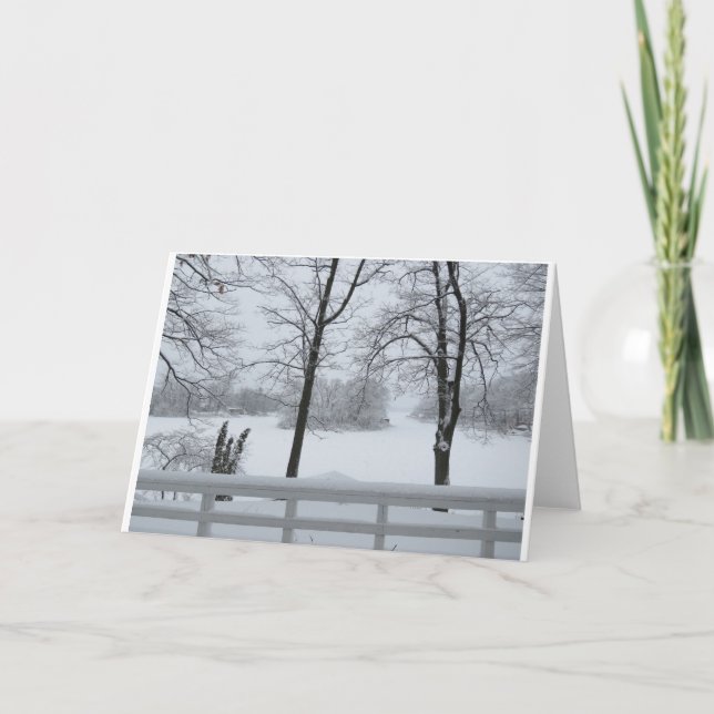 Pine Lake #2 Cove Winter Card (Front)