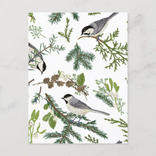 Pine leaves bird postcard