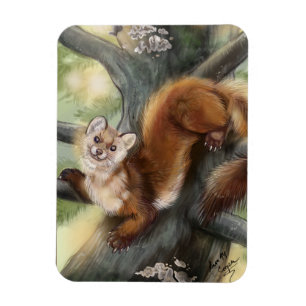 Pine Marten Magnet