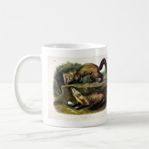 Pine Marten (Mustela Martes) American Marten Coffee Mug