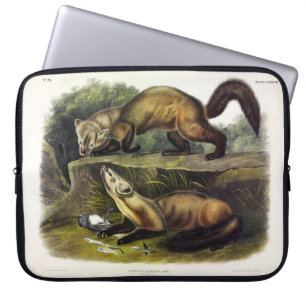 Pine Marten (Mustela Martes) American Marten Laptop Sleeve