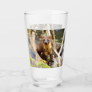 Pine Marten on Log Glass