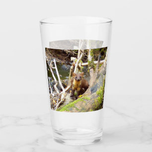 Pine Marten on Log  Glass