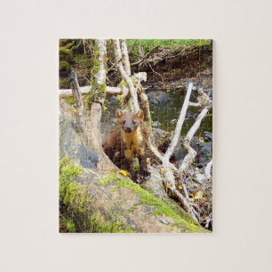 Pine Marten on Log Jigsaw Puzzle