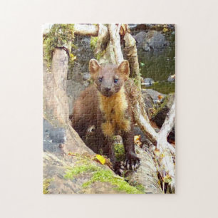 Pine Marten on Log  Jigsaw Puzzle