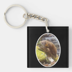 Pine Marten on Log Key Ring