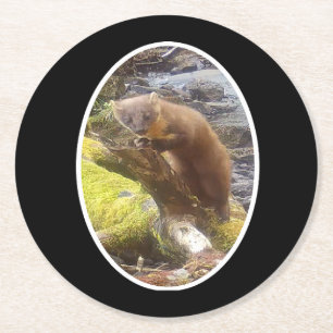 Pine Marten on Log Paper Coaster
