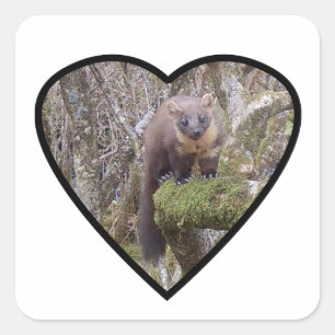 Pine Marten on Log Square Sticker