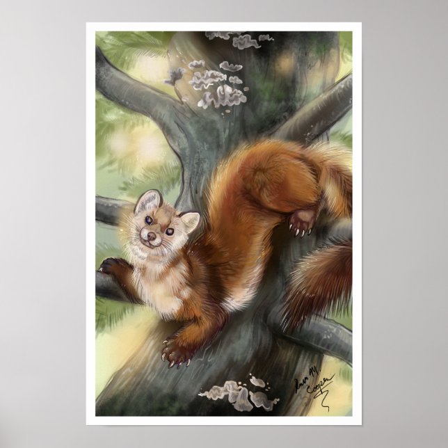 Pine Marten Poster (Front)