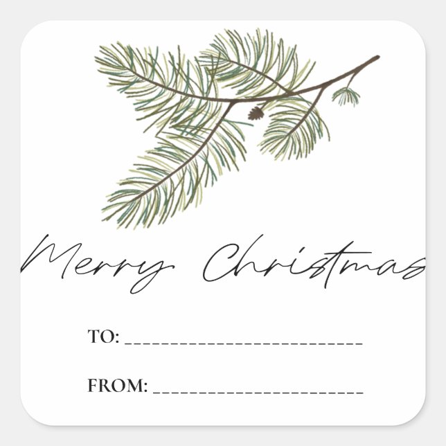 Pine Merry Christmas Minimalist Green foliage gift Square Sticker (Front)