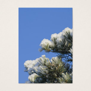 Pine needles