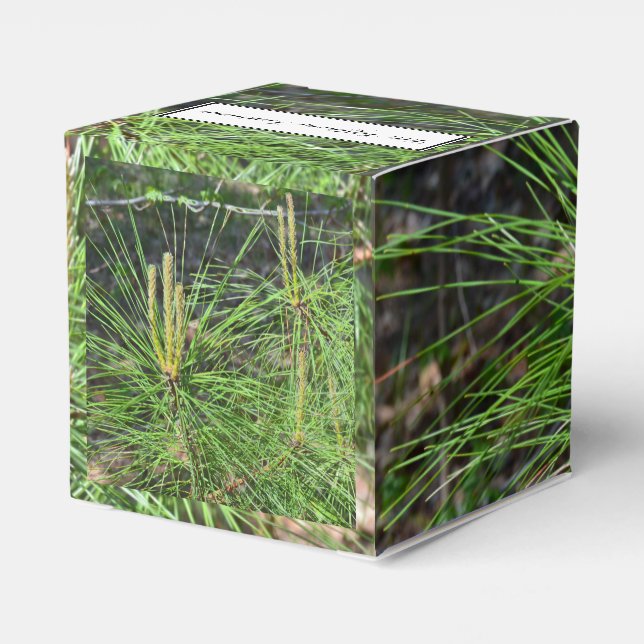 Pine Needles by Kenneth Yoncich Favour Box (Back Side)