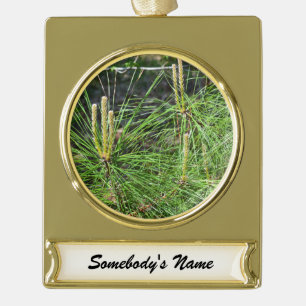 Pine Needles by Kenneth Yoncich Gold Plated Banner Ornament