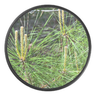 Pine Needles by Kenneth Yoncich Hockey Puck