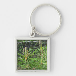 Pine Needles by Kenneth Yoncich Key Ring