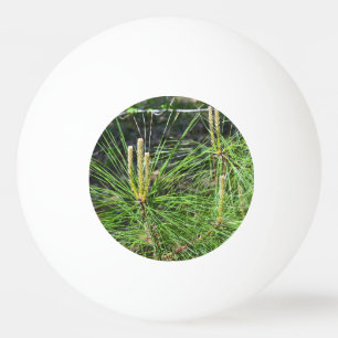 Pine Needles by Kenneth Yoncich Ping Pong Ball
