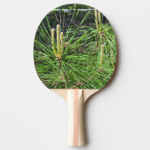 Pine Needles by Kenneth Yoncich Ping Pong Paddle