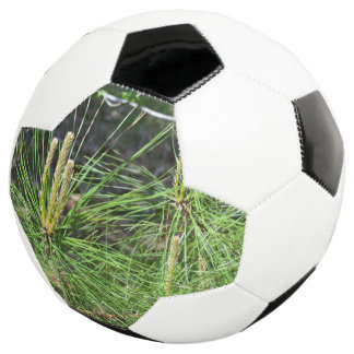 Pine Needles by Kenneth Yoncich Soccer Ball