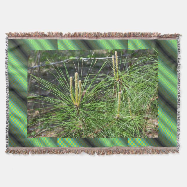 Pine Needles by Kenneth Yoncich Throw Blanket (Front)