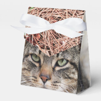 Pine Needles Favour Box