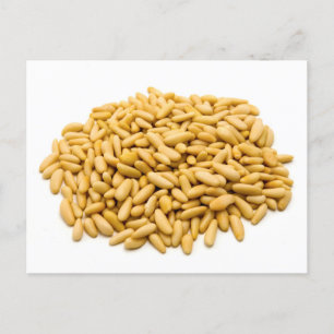 Pine nuts postcard