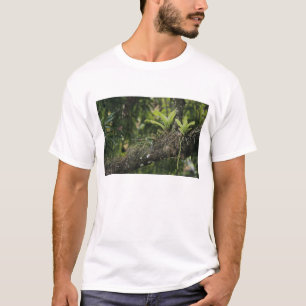 Pine Pink, Bletia purpurea, blooming on Mango T-Shirt