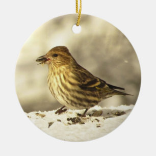 Pine Siskin Ceramic Tree Decoration