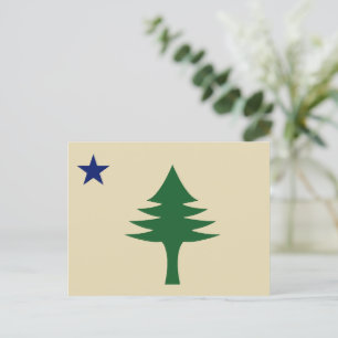 Pine tree and star 1901 flag of Maine State Postcard