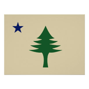 Pine tree and star 1901 flag of Maine State Poster