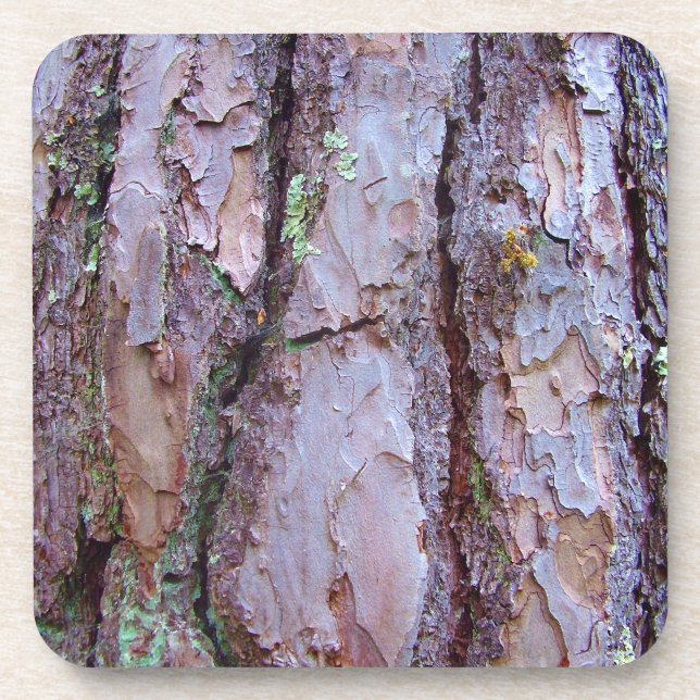 Pine Tree Bark Hard Plastic Coasters (Front)
