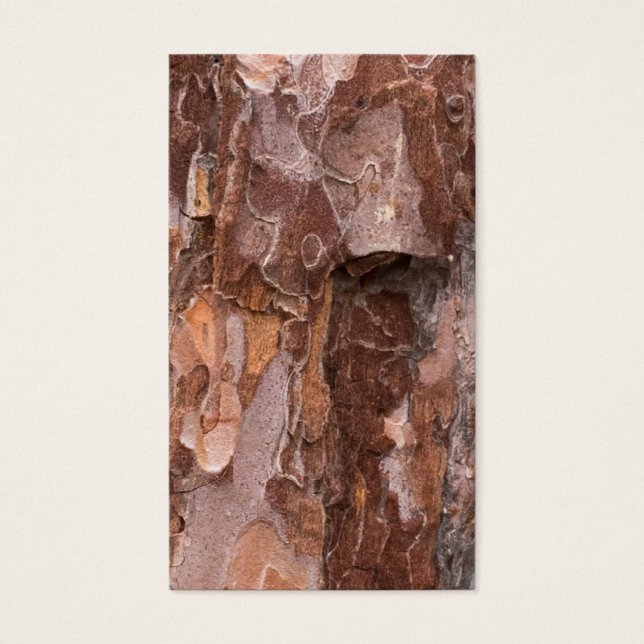 Pine tree bark texture (Front)