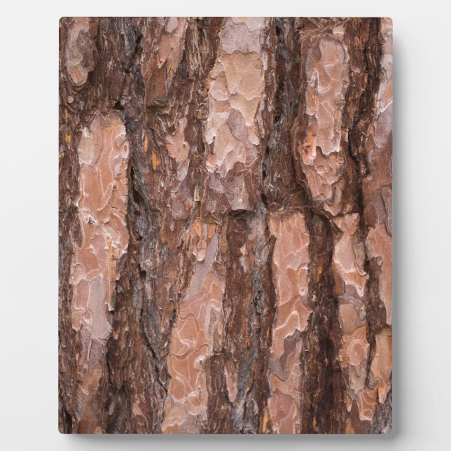 Pine tree bark texture plaque (Front)