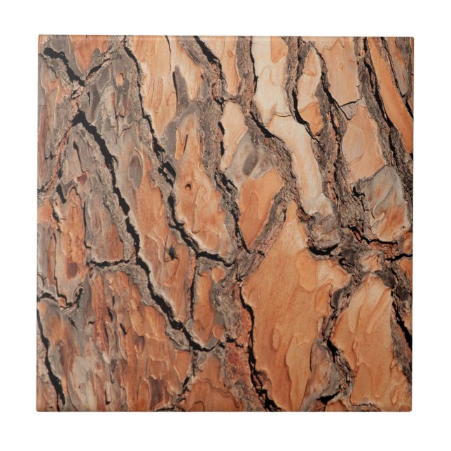 Pine Tree Bark Texture Tile (Front)