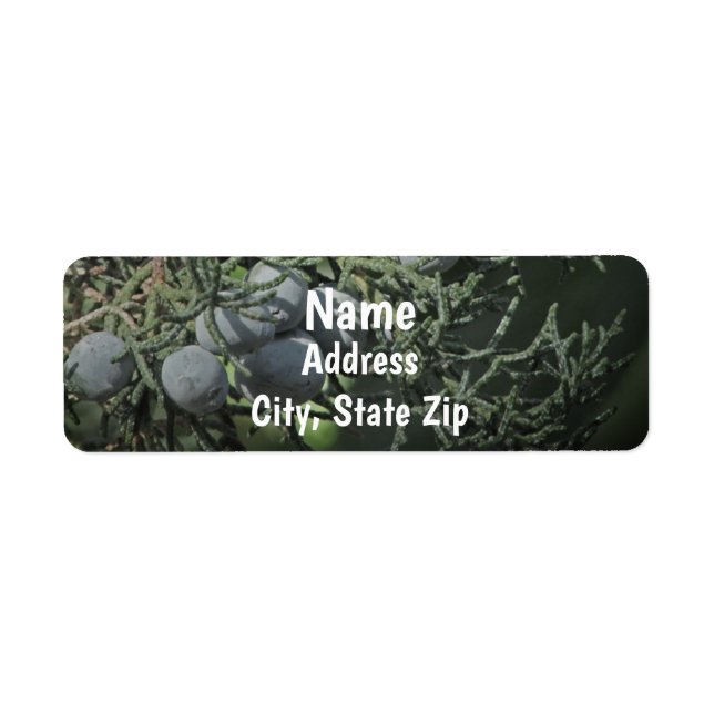 Pine Tree Berries Nature Photo Rustic Address (Front)