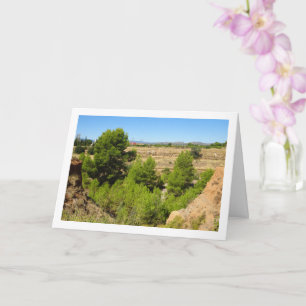 Pine tree Canyon Landscape Card