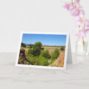 Pine tree Canyon Landscape Card
