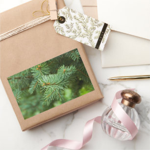Pine tree closeup rectangular sticker