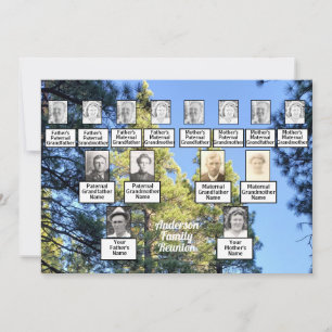 Pine Tree Forest Photo 3 Generation Family Reunion Invitation