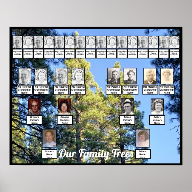 Pine Tree Forest Photo Two Family Trees Poster (Front)